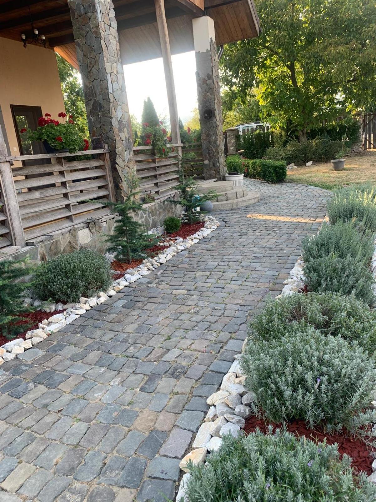 Casa Gorjeana Complex Agroturistic Hotel Pestisani Exterior photo